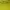 Casual Crop top Wanita yellow photo 2