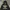 Adidas Streetwear Sportswear Hoody Pria black photo 2