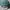 Vintage Y2K Hat Pria green photo 2