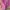 Casual Cardigan Wanita pink photo 3
