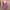 Casual Cardigan Wanita pink photo 1