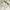 Vintage Y2K Sunglass Wanita yellow photo 5