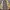 Vintage Casual Trench coat Pria tan photo 2