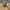 Vintage Casual Trench coat Pria tan photo 3