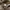 Vintage Casual Trench coat Pria tan photo 7