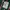 Carhartt Streetwear T-shirt Pria green photo 5