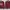 Minimalist Casual Track jacket Pria burgundy photo 1