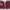 Minimalist Casual Track Jacket Pria Burgundy