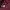 Casual Windbreaker Pria burgundy photo 4