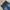 Streetwear Casual Jeans Pria blue photo 5