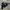 Dirty Business Streetwear Y2K Hoody Pria black photo 1