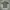 Florence & Fred Casual Polo shirt Pria gray photo 1