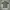 Florence & Fred Casual Polo Shirt Pria Gray