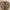 H&M Minimalist Crop Top Wanita Tan