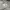 Mind Bridge Casual Blazer Pria gray photo 3