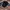 VANS Casual Hat Pria black photo 1