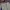 Dickies Casual Formal pants Pria khaki photo 4