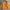 Gorpcore Puffer jacket Pria yellow photo 2