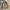 Indie Casual Puffer jacket Pria tan photo 1