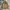 Indie Casual Puffer Jacket Pria Tan