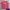 Vintage T-shirt Pria pink photo 1