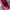 Vintage Reworked Pria burgundy red photo 6