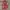 Vintage Reworked Pria burgundy red photo 2