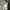 Vintage Fur Coat Wanita Gray