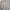 Vintage Fur coat Wanita gray photo 3