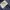 Nike Sportswear T-shirt Pria white navy photo 4