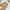 BOSCH Casual Culotte Wanita tan photo 1