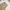 BOSCH Casual Culotte Wanita tan photo 2