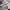Sportswear Sneakers Wanita white pink photo 4