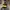 Casual Hat Pria black yellow photo 1