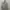 Spao Casual Bomber jacket Pria silver photo 1
