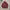 Nike Sportswear Track jacket Pria red photo 2