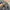 Champion Streetwear Sportswear Puffer jacket Pria gray photo 5