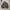 Champion Streetwear Sportswear Puffer jacket Pria gray photo 4