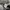 Champion Streetwear Sportswear Puffer jacket Pria gray photo 7