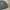 Champion Streetwear Sportswear Puffer jacket Pria gray photo 3