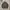 Champion Streetwear Sportswear Puffer jacket Pria gray photo 2