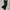 Uniqlo Gorpcore Casual pants Pria black photo 1