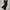 Uniqlo Gorpcore Casual Pants Pria Black