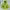 Nike ACG Luxury Hoody Pria Green