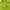Nike ACG Luxury Hoody Pria green photo 4