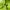 Nike ACG Luxury Hoody Pria green photo 3