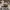 Casual Hat Pria multicolor green photo 2