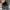 MLB Casual Hat Pria navy photo 5