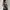 Fairy Going out dress Wanita black photo 3