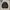 Beauty & Youth United Arrows Y2K Biker Leather jacket Pria black photo 2